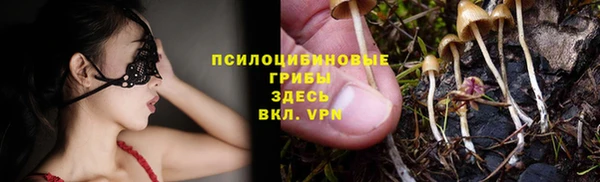 мескалин Покачи