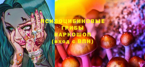 шишки Покровск