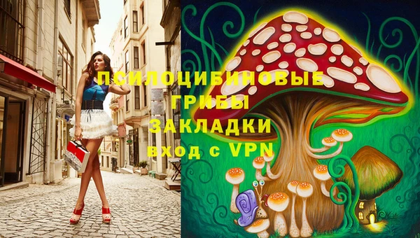 мескалин Покачи