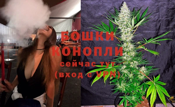шишки Покровск