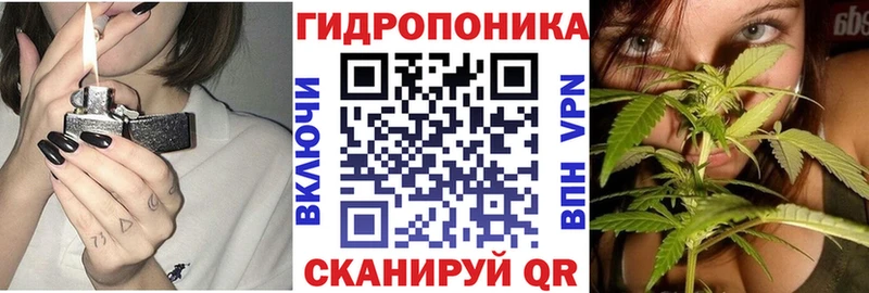 купить   Саки  Канабис семена 